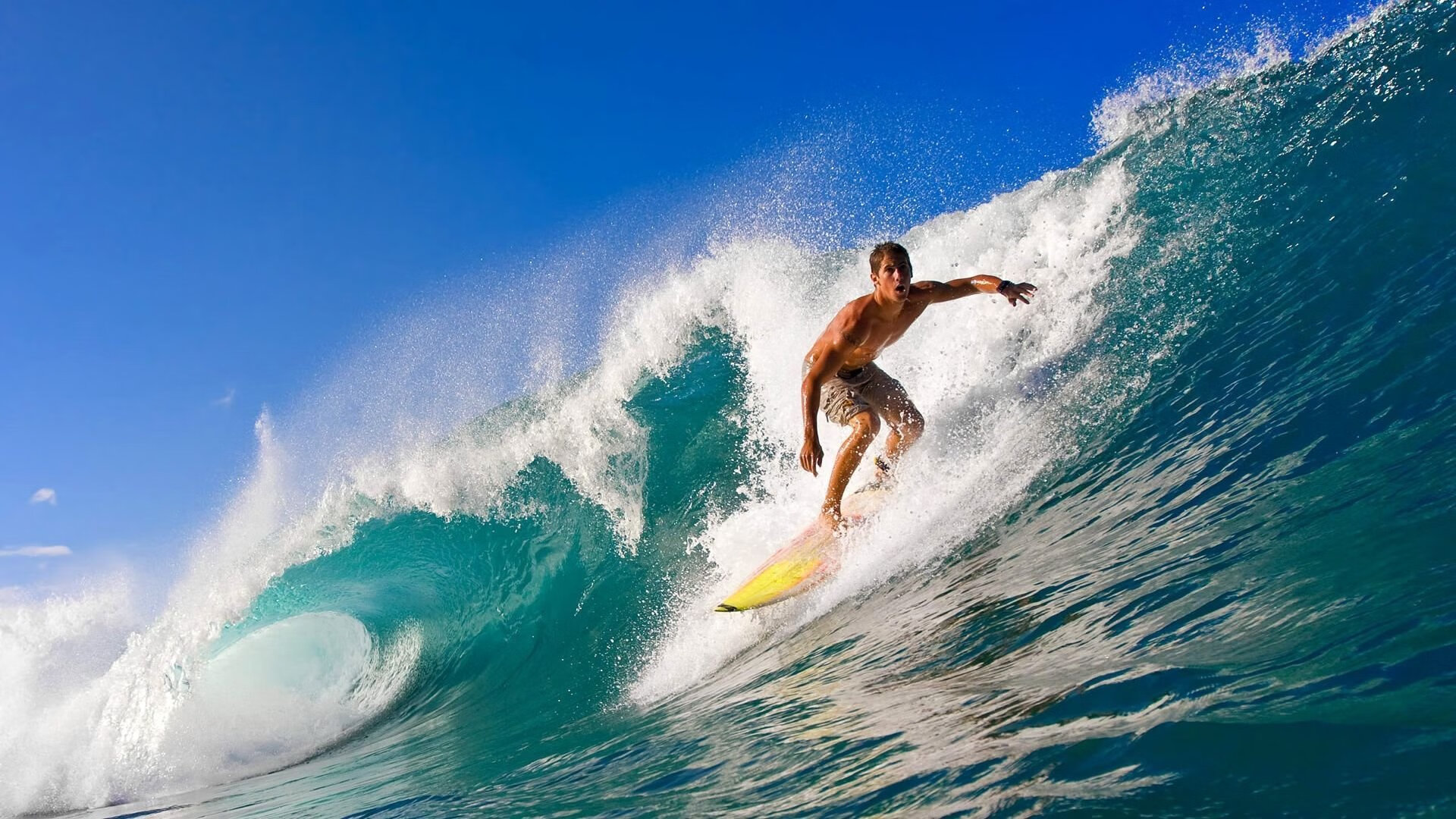 最佳门将：谁是本赛季欧冠的防守英雄？，欧冠冠军最多的门将